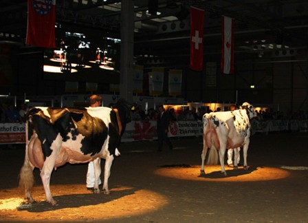 Shottle Spotlight EX95 w świetle reflektorów (po prawej)